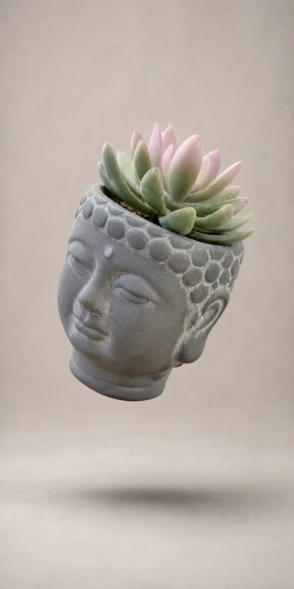 Maceta con forma de cabeza de buda y una suculenta